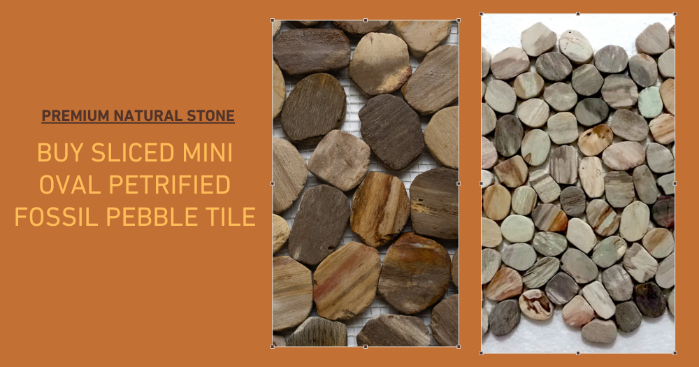 Buy Sliced Mini Oval Petrified Fossil Pebble Tile – Premium Natural Stone