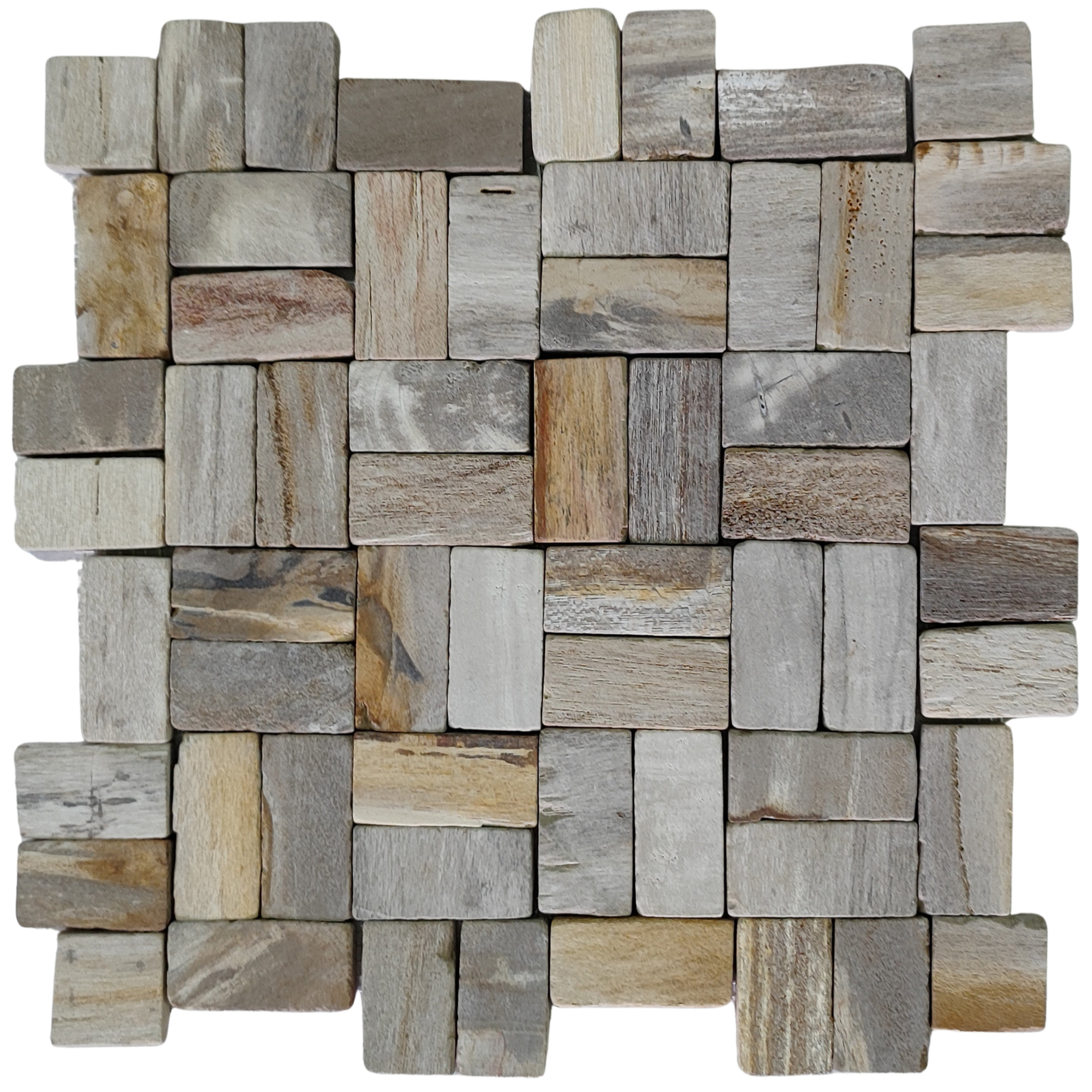 Timeless Elegance: Petrified Wood Antique Stone Mosaic Tiles by Tile Hub