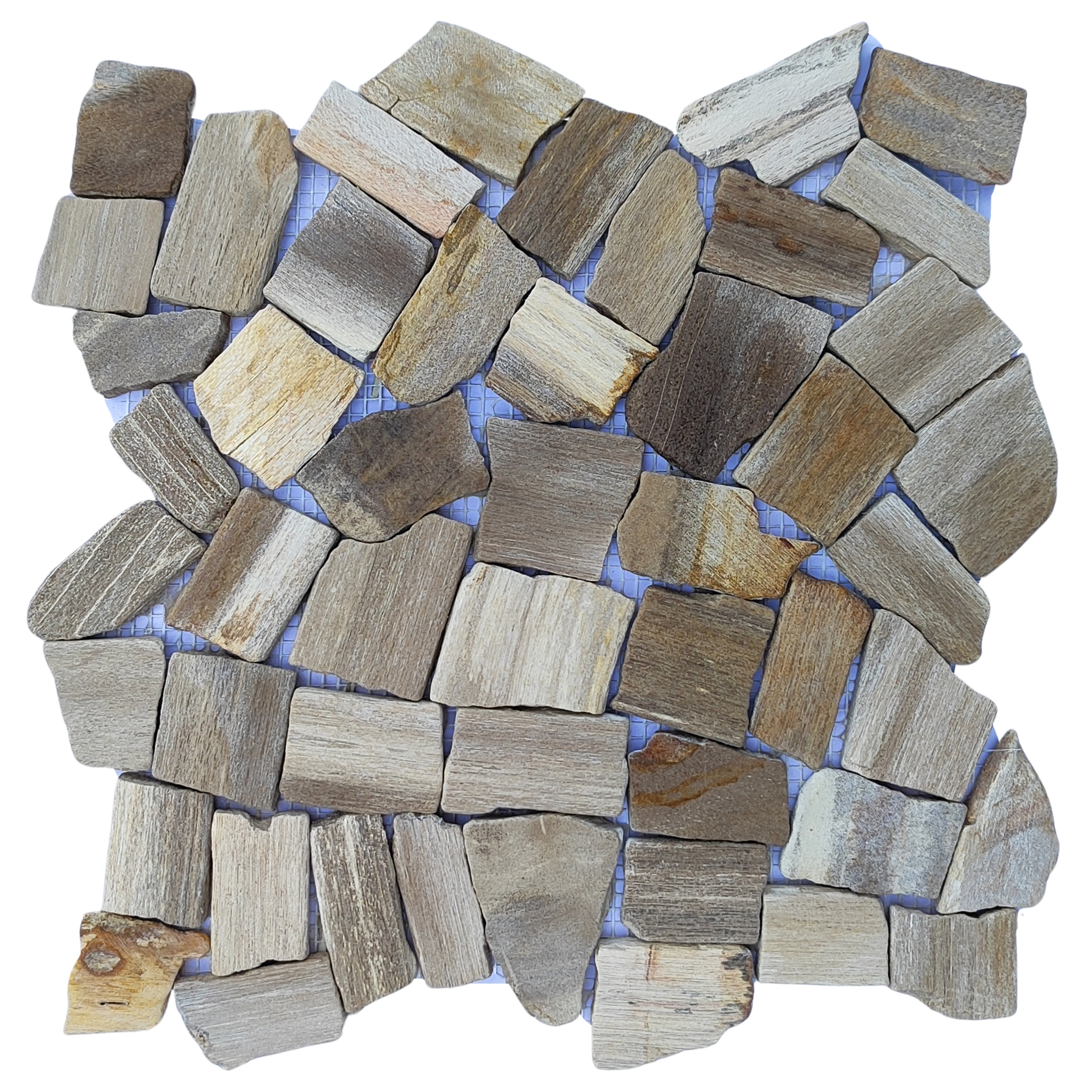 Natural Elegance: Unique Petrified Wood Mosaic Tiles Collection