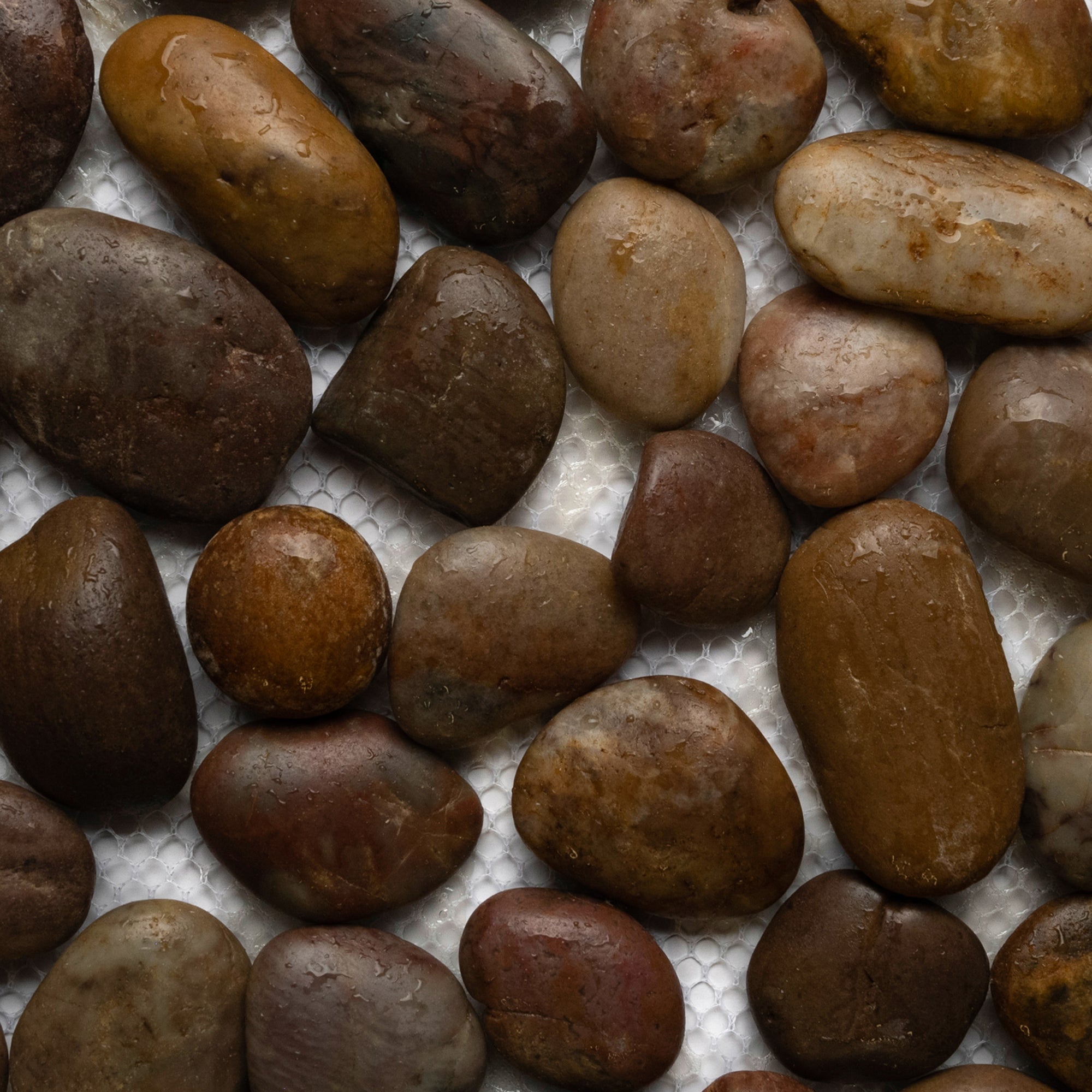 Radiant Red Elegance: Premium Polished Pebble Tiles by Tile Hub